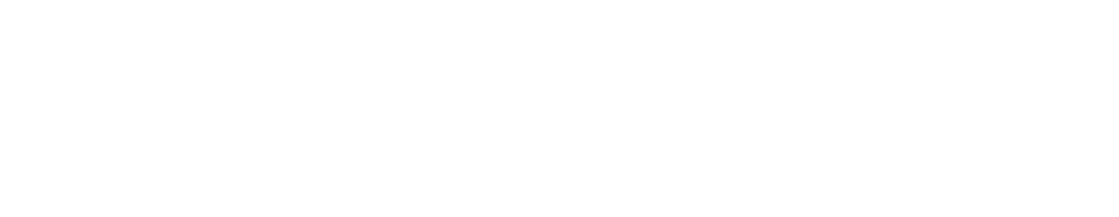 staysana Logo